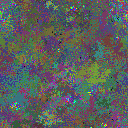 World at epoch 80000