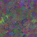 World at epoch 149000