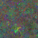 World at epoch 78000