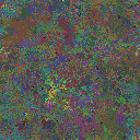 World at epoch 79000