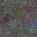 World at epoch 61000