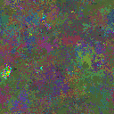 World at epoch 105000