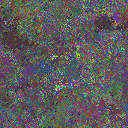 World at epoch 63000