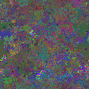 World at epoch 155000