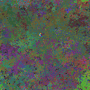 World at epoch 63000