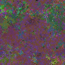World at epoch 64000