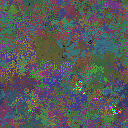 World at epoch 116000