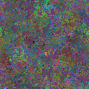 World at epoch 75000