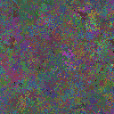 World at epoch 80000
