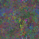 World at epoch 150000