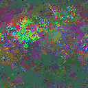 World at epoch 65000