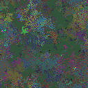 World at epoch 128000