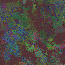 World at epoch 79000