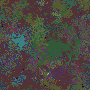 World at epoch 80000