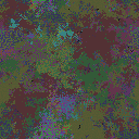 World at epoch 81000