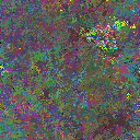 World at epoch 95000