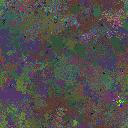 World at epoch 139000