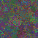 World at epoch 79000