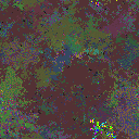 World at epoch 117000