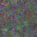 World at epoch 75000