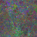 World at epoch 77000