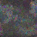 World at epoch 79000