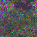 World at epoch 80000