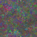 World at epoch 79000