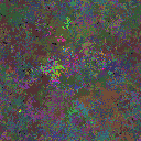 World at epoch 95000