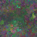 World at epoch 95000