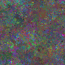 World at epoch 97000