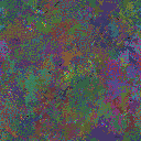 World at epoch 135000