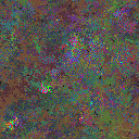 World at epoch 105000