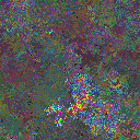 World at epoch 75000