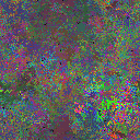 World at epoch 69000