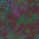 World at epoch 116000