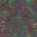 World at epoch 115000
