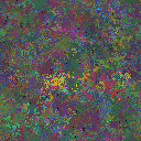 World at epoch 79000