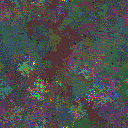 World at epoch 110000