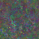World at epoch 80000