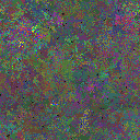 World at epoch 79000