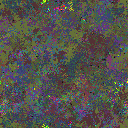 World at epoch 159000