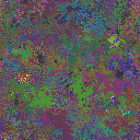 World at epoch 150000