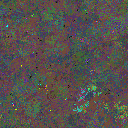 World at epoch 150000