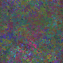 World at epoch 95000