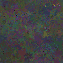 World at epoch 79000