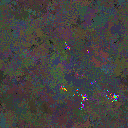 World at epoch 80000