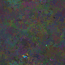 World at epoch 81000
