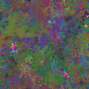 World at epoch 155000
