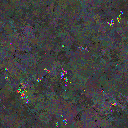 World at epoch 79000
